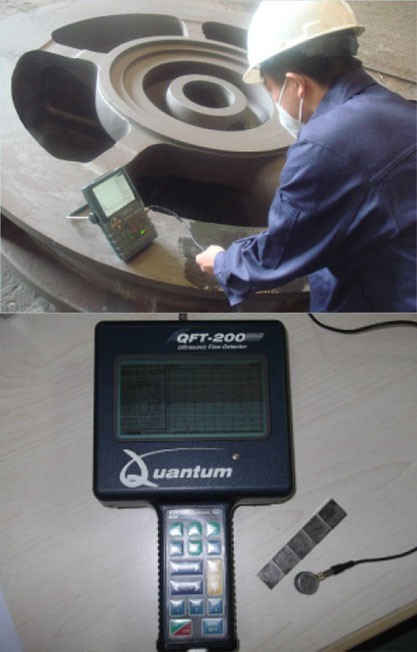 sow molds 6 sow molds 6